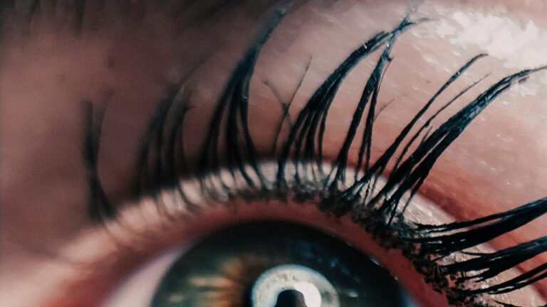 close up of an eyelash with mascara